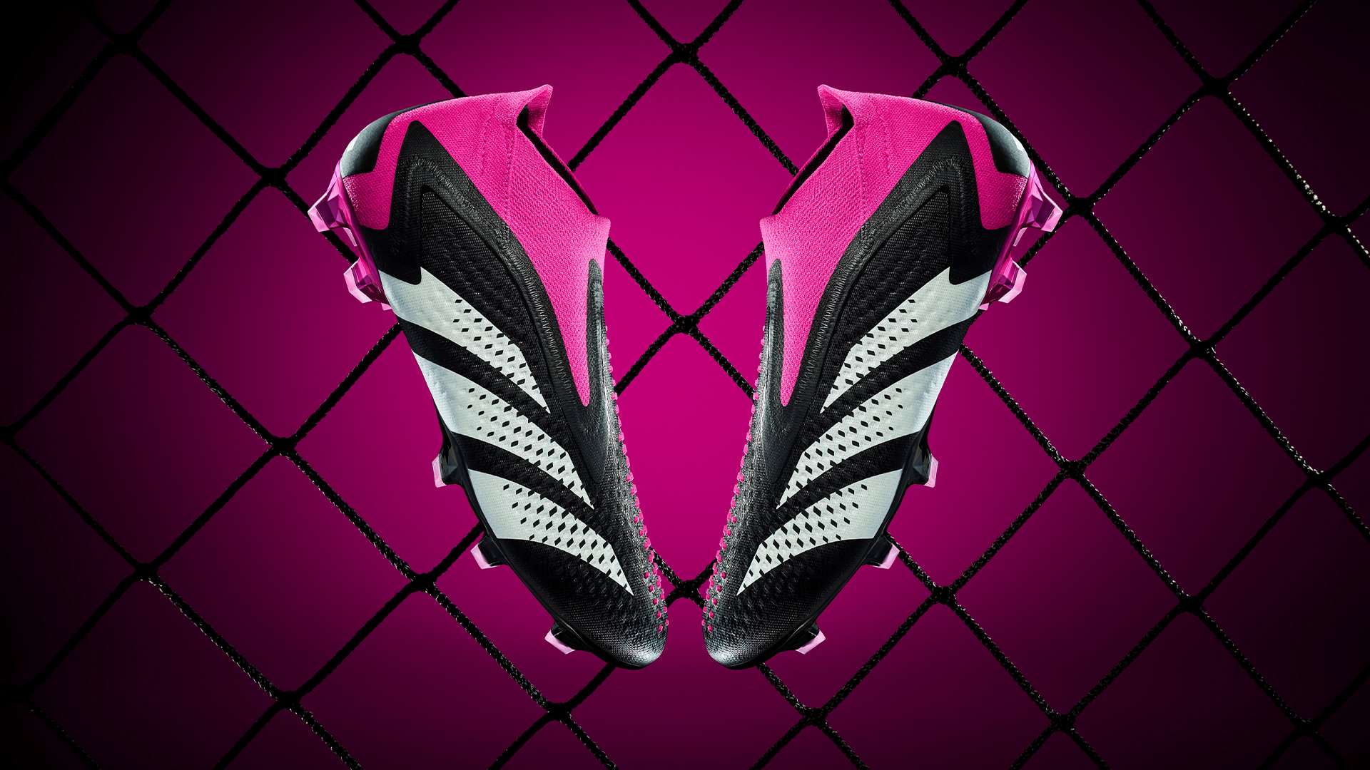 骄傲再次闪 骄傲再次闪